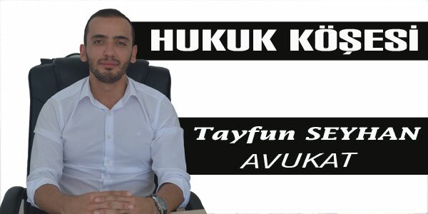 Yeni Anayasa Dzenlemesi ile gelen yenilikler