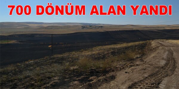 Her gn bir yer yanyor